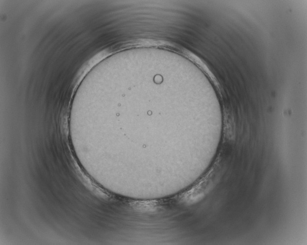 X0000084010810200703161712