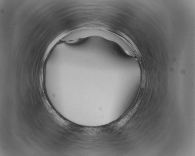 X0000084010812200703161712