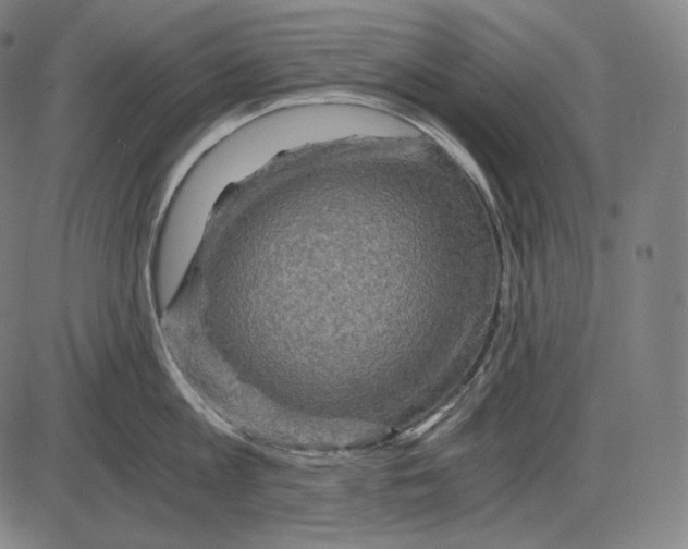 X0000084010813200703161712