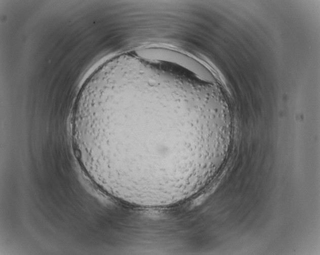 X0000084010814200703161712