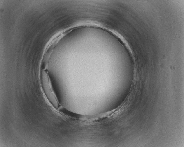 X0000084010815200703161712