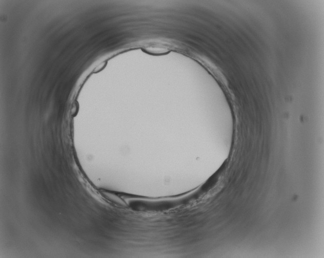 X0000084010816200703161712