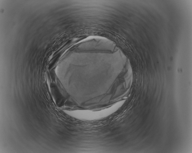 X0000084010818200703161711