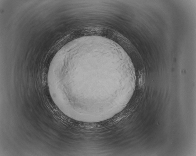 X0000084010819200703161711