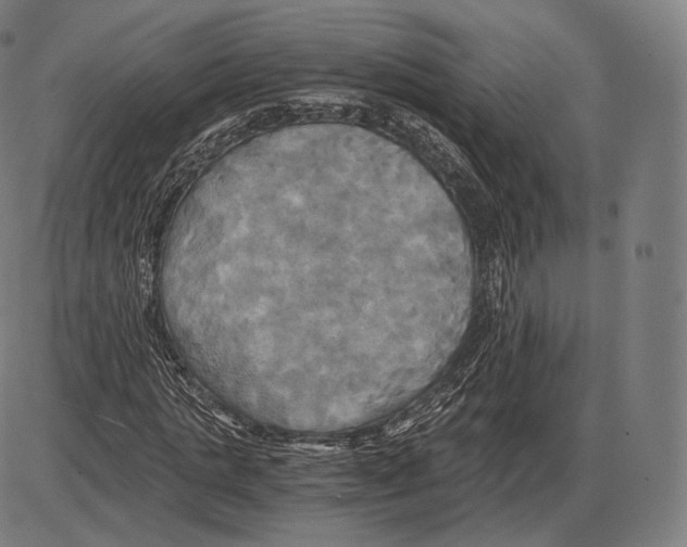 X0000084010821200703161711