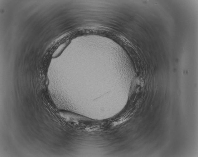 X0000084010822200703161711