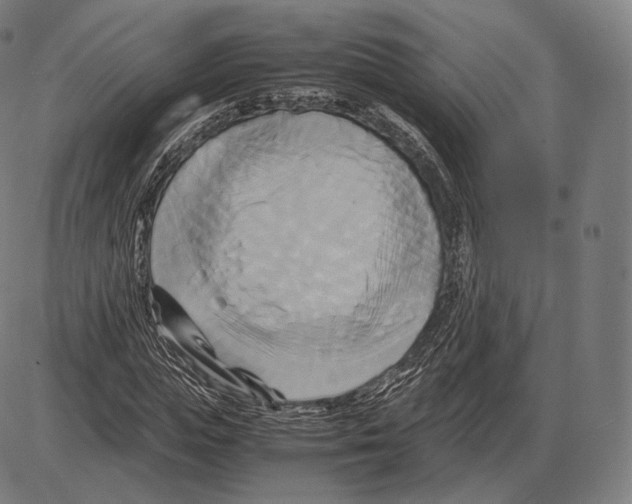 X0000084010823200703161711