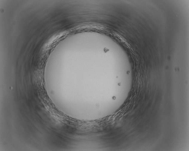 X0000084010824200703161711