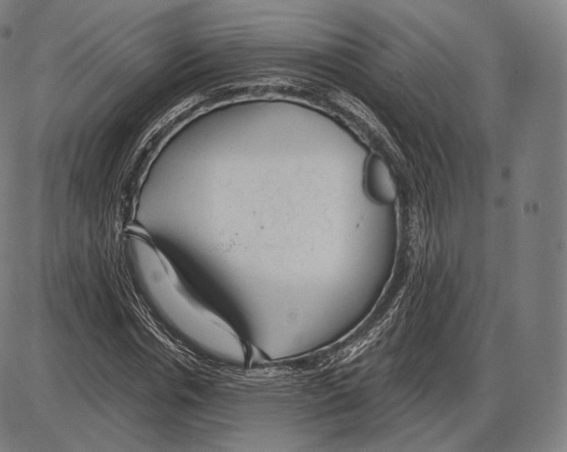 X0000084010826200703161711