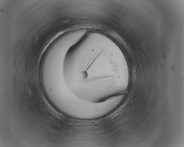 X0000084010828200703161711