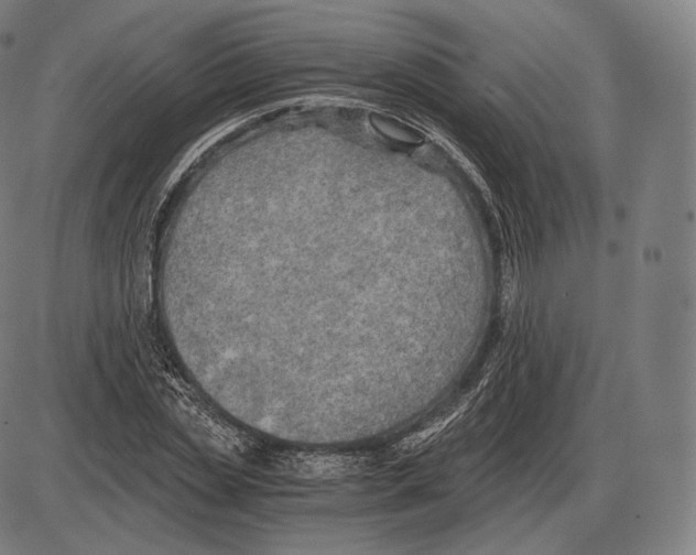 X0000084010829200703161711