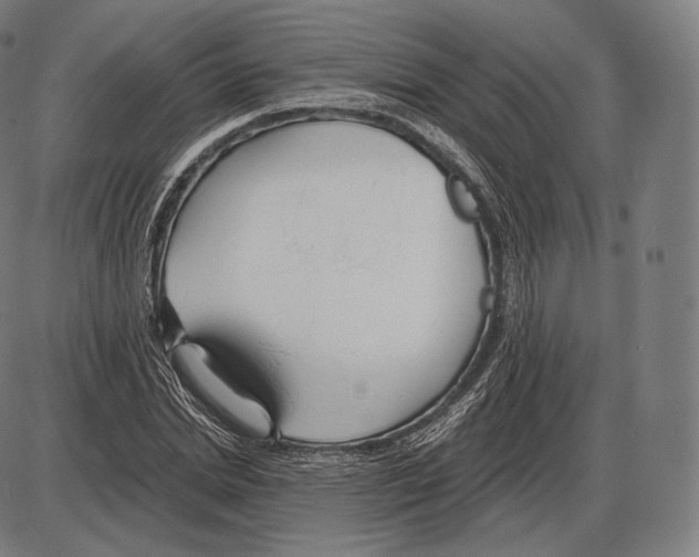 X0000084010830200703161711