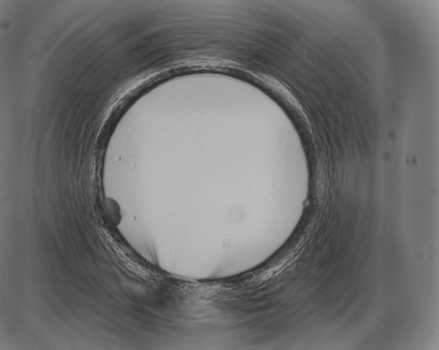 X0000084010831200703161711