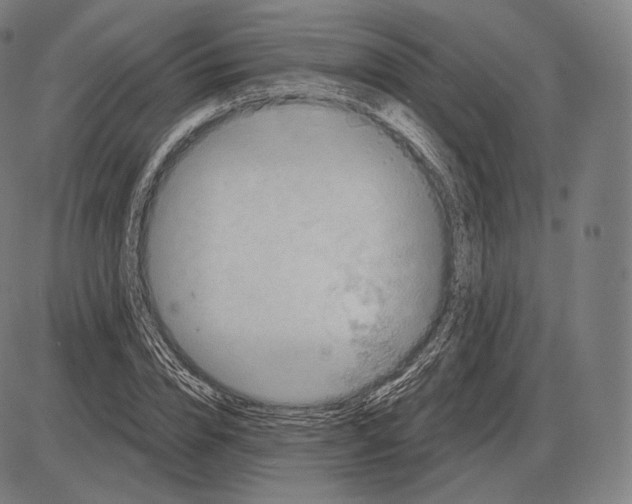 X0000084010832200703161711