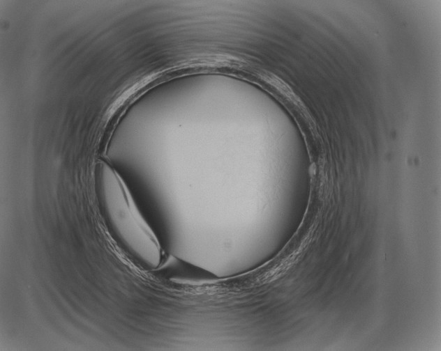 X0000084010834200703161711