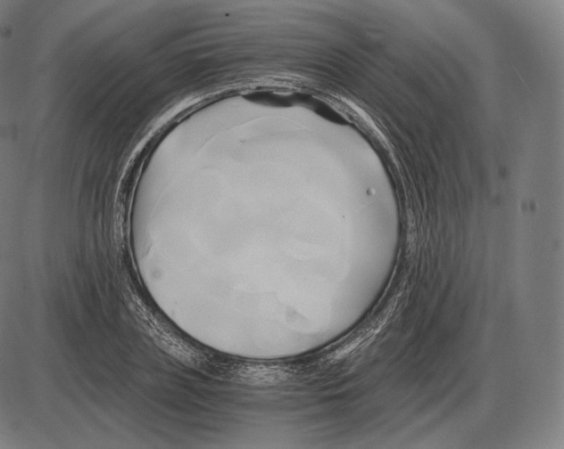 X0000084010835200703161711