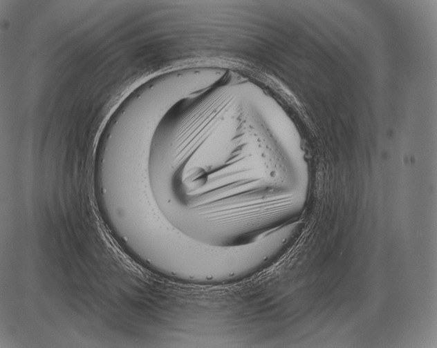 X0000084010836200703161712