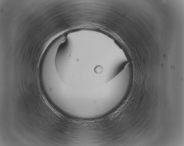 X0000084010838200703161712