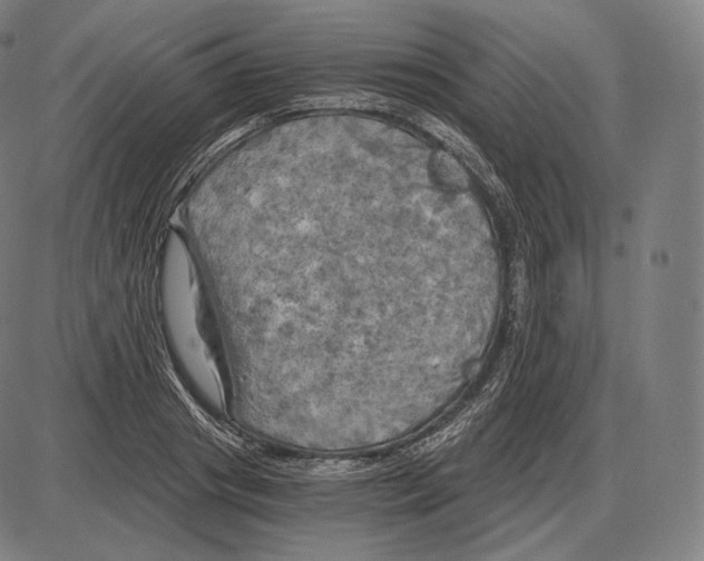 X0000084010841200703161712