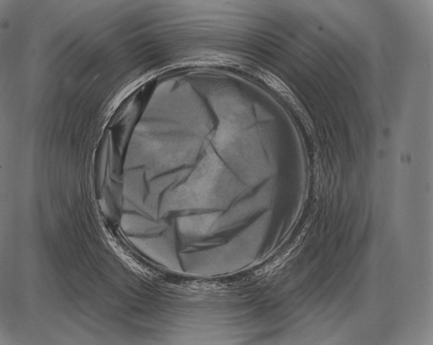 X0000084010842200703161712