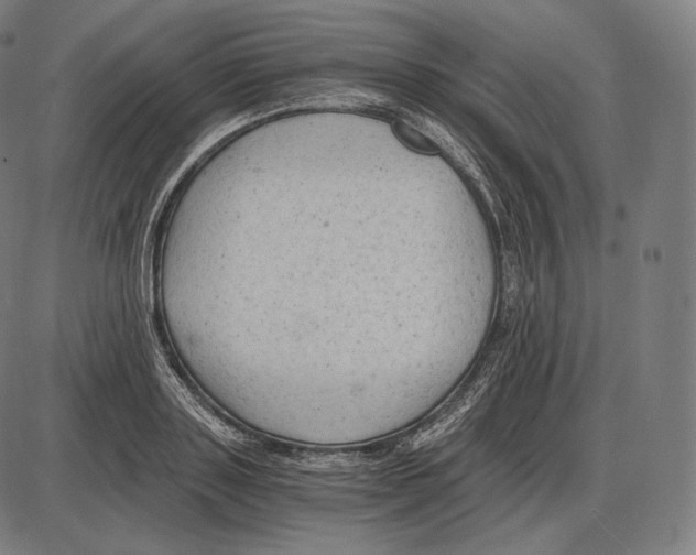 X0000084010843200703161712