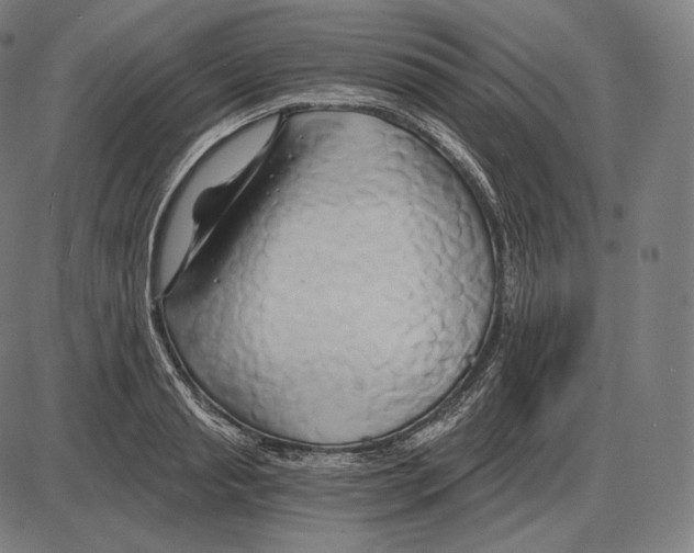 X0000084010845200703161712