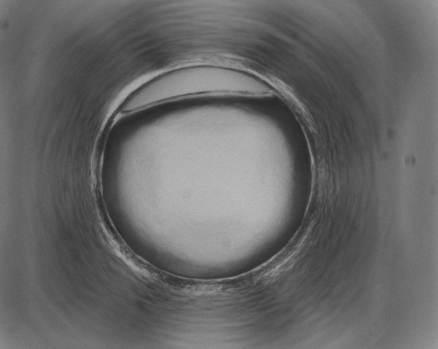 X0000084010846200703161712