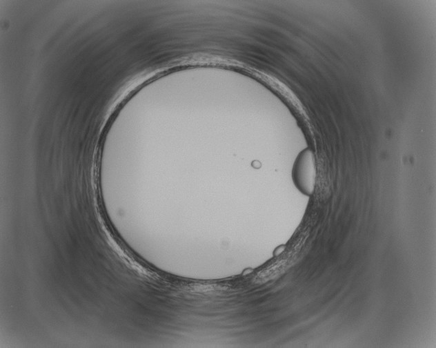 X0000084010847200703161712