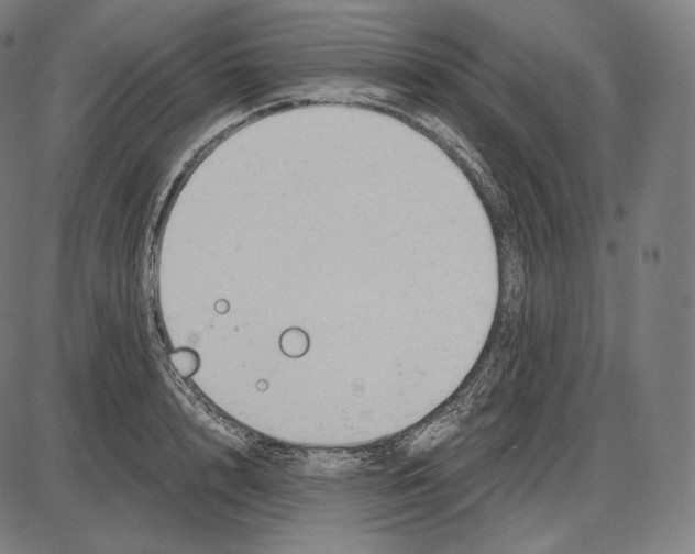 X0000084010848200703161712