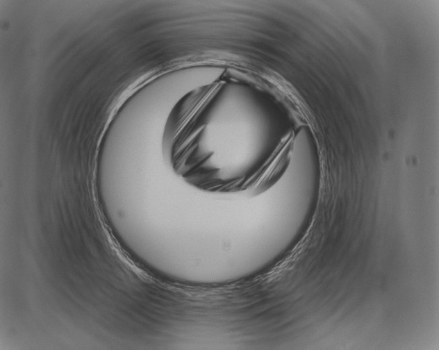 X0000084010850200703161712