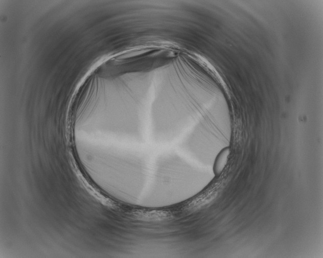 X0000084010851200703161712