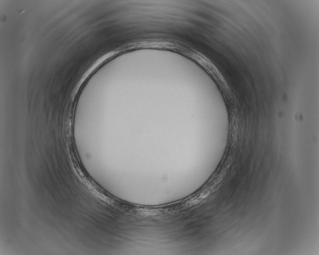 X0000084010852200703161712