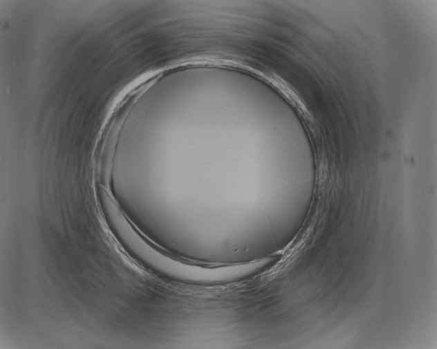 X0000084010854200703161712