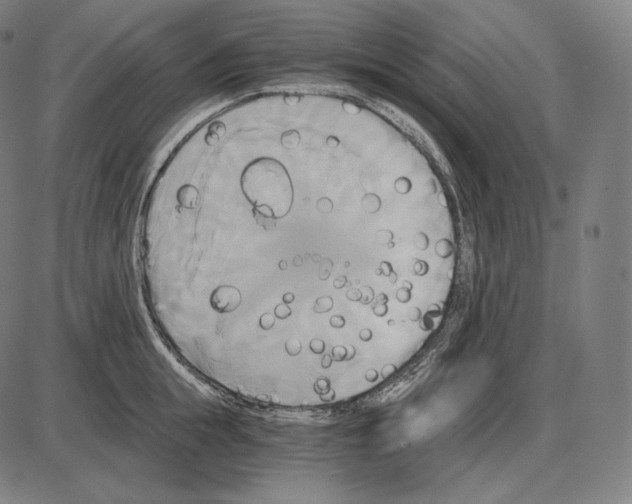 X0000084010855200703161712