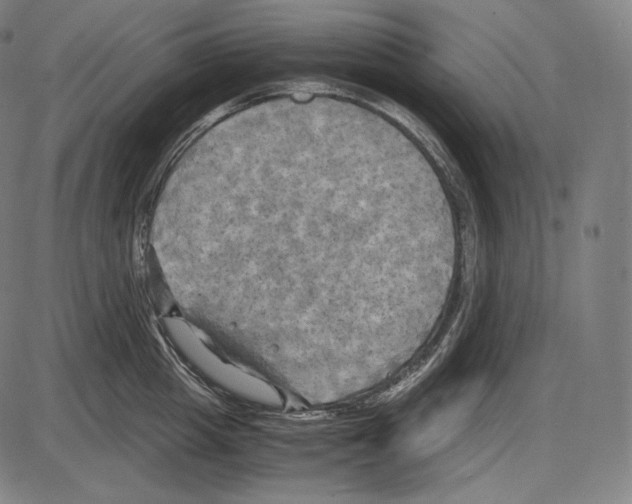 X0000084010857200703161712