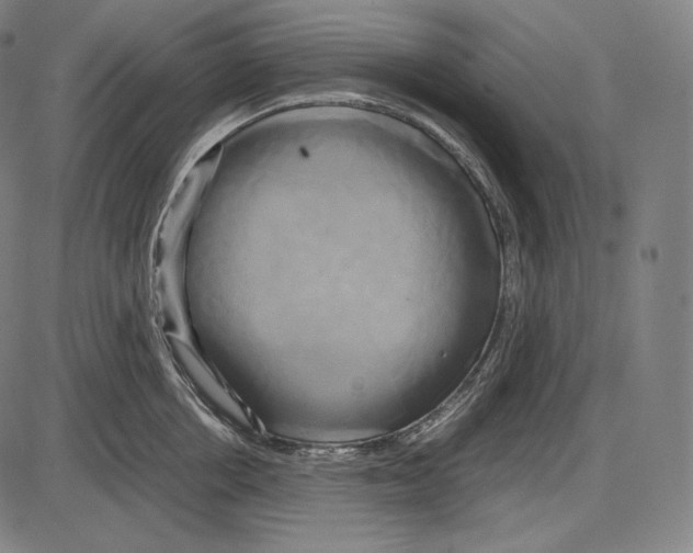 X0000084010858200703161712