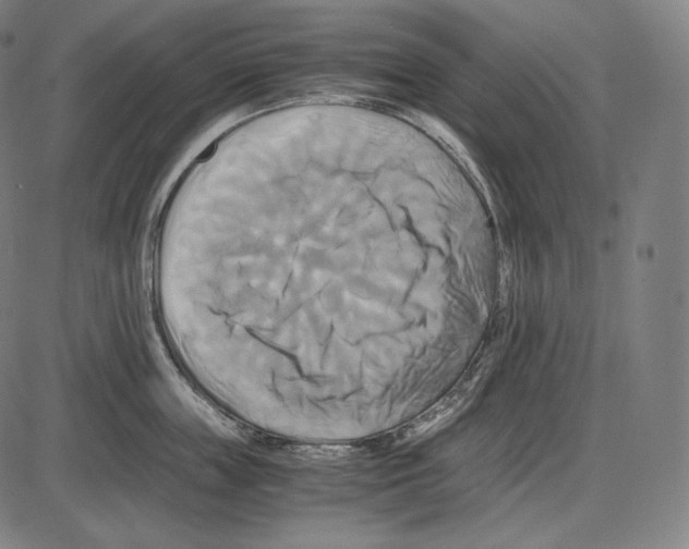 X0000084010859200703161712