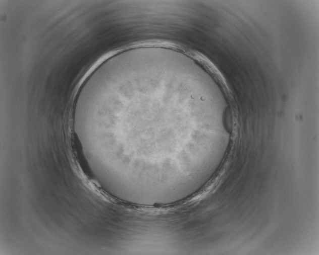 X0000084010860200703161712