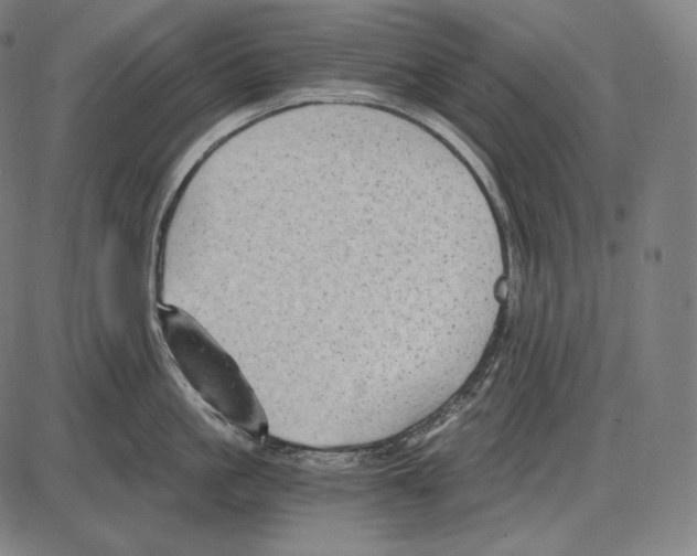 X0000084010861200703161712