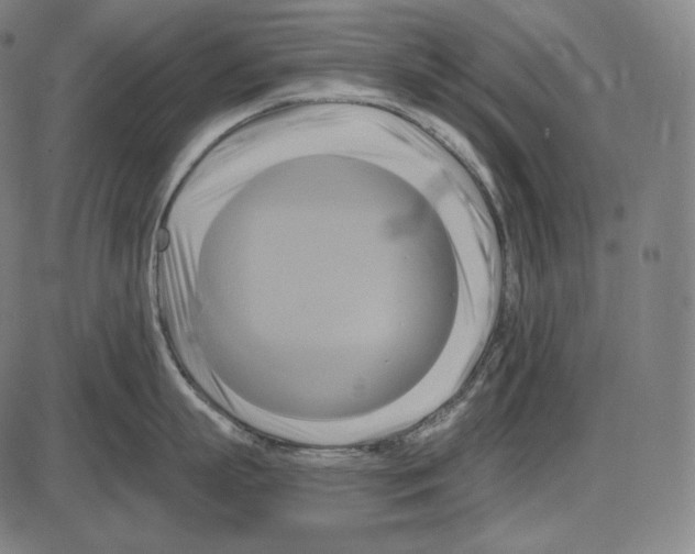 X0000084010863200703161712