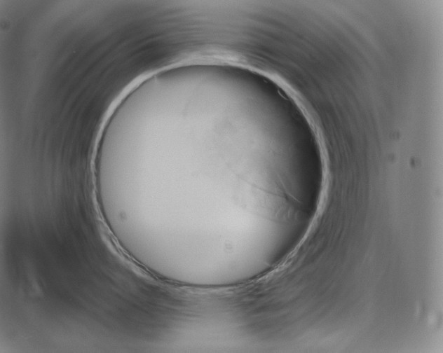 X0000084010864200703161712