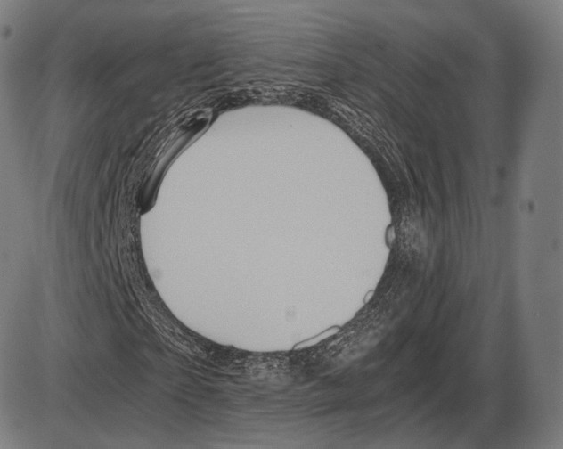 X0000084010865200703161711