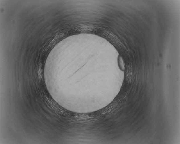 X0000084010866200703161711