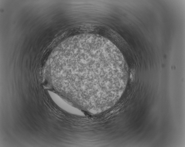 X0000084010867200703161711