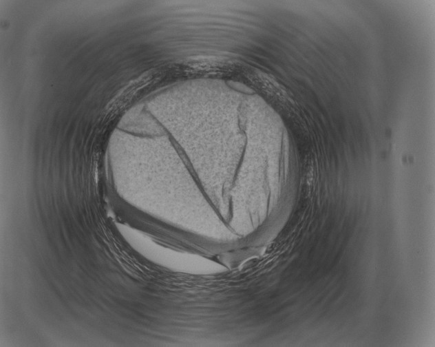 X0000084010868200703161711