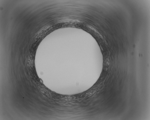 X0000084010869200703161711