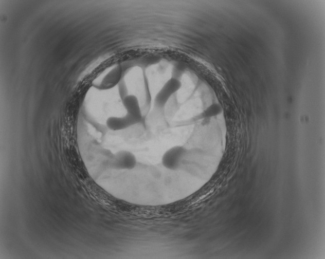 X0000084010871200703161711