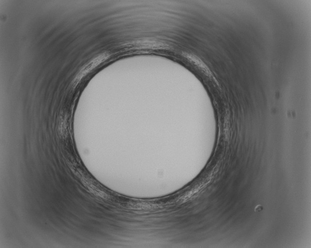 X0000084010873200703161711