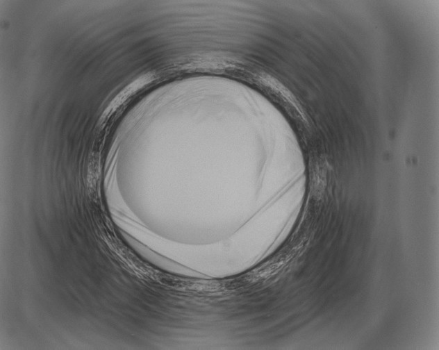 X0000084010874200703161711