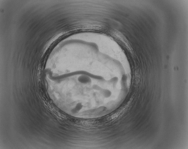 X0000084010875200703161711